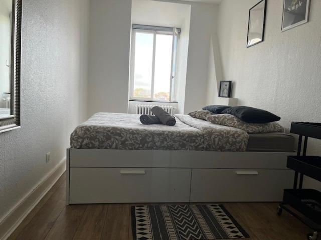Cosy Rent Strasbourg Orangerie Tv Wifi Cathedrale Apartment Exterior foto