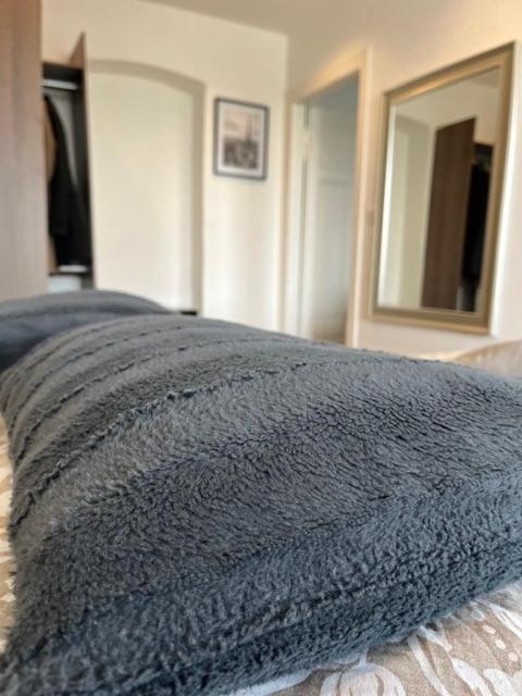 Cosy Rent Strasbourg Orangerie Tv Wifi Cathedrale Apartment Exterior foto